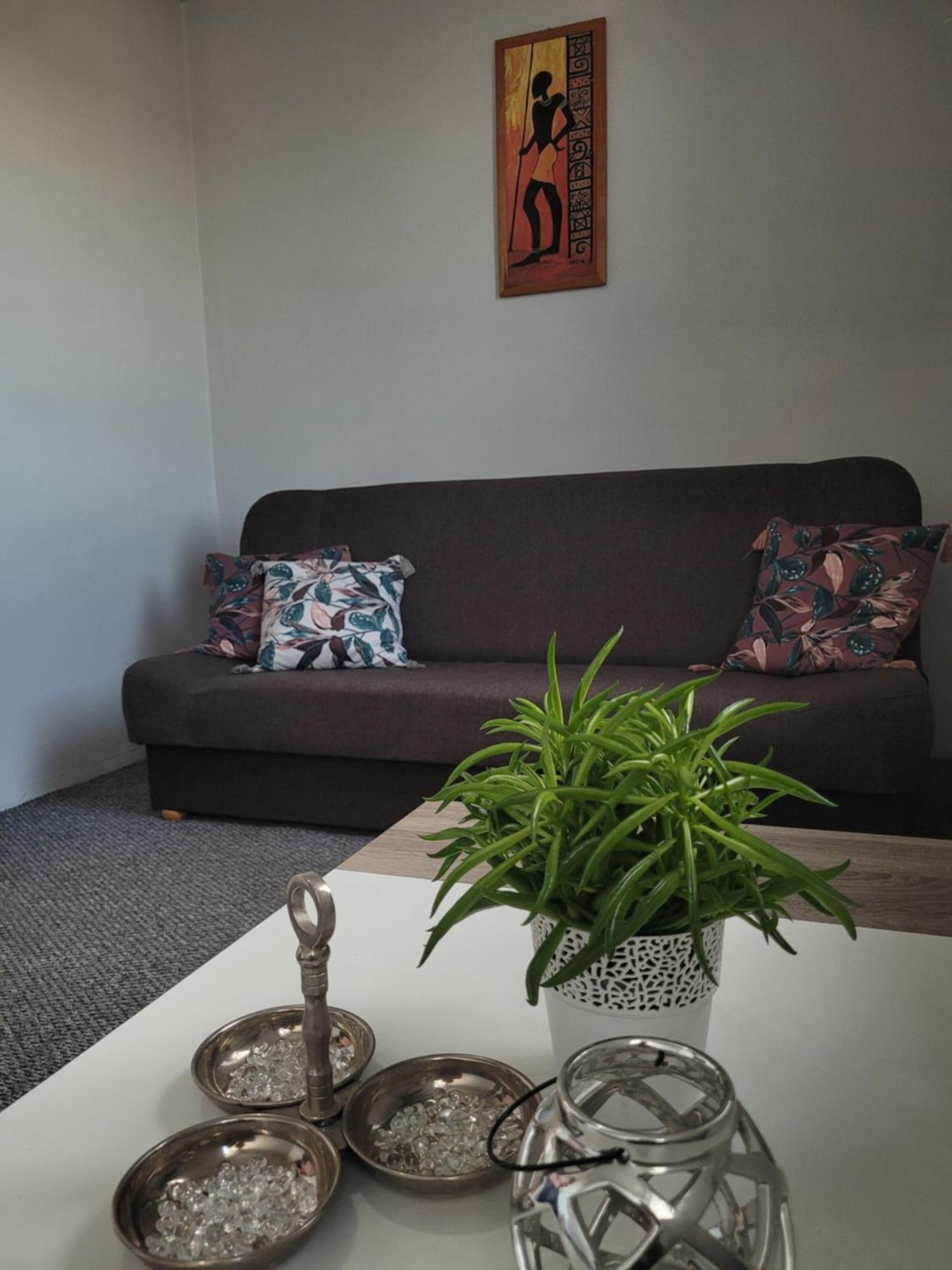 Apartament Zdunska Włocławek 外观 照片