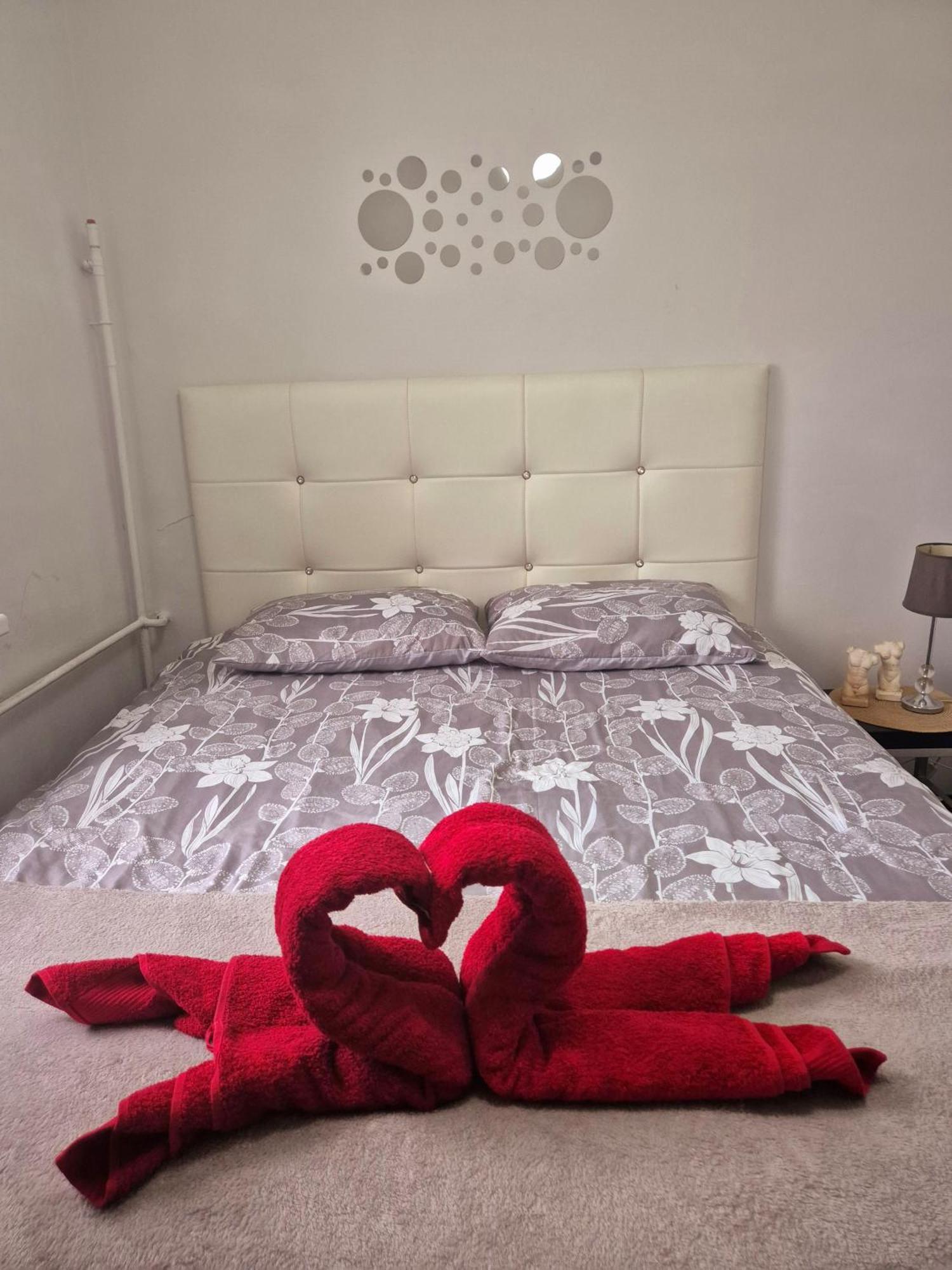 Apartament Zdunska Włocławek 外观 照片